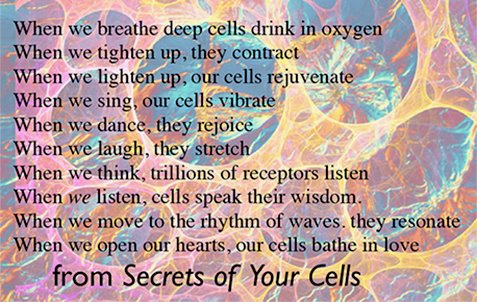 Our Sacred Cell Wisdom