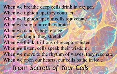 Three Secrets of our Cells