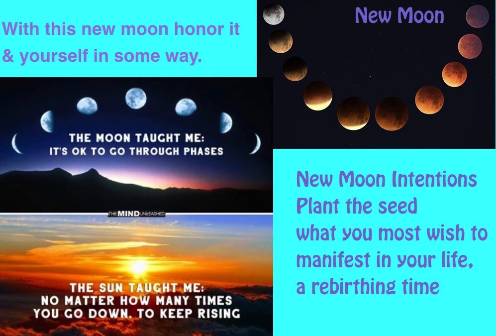 New Moons and New Moon in Aries 2024